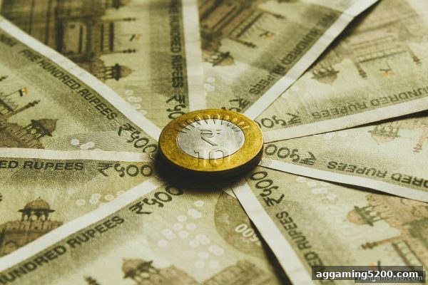 捕鱼王游戏玩家必看：USDT提现到账慢解析与水果机出分策略全攻略