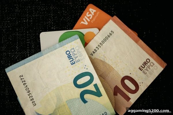 转账资金迟迟不到账？「捕鱼王游戏」玩家必看的延迟破解指南