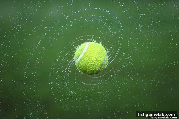 捕鱼王游戏：龙虎玩法规则、概率解析与策略大全