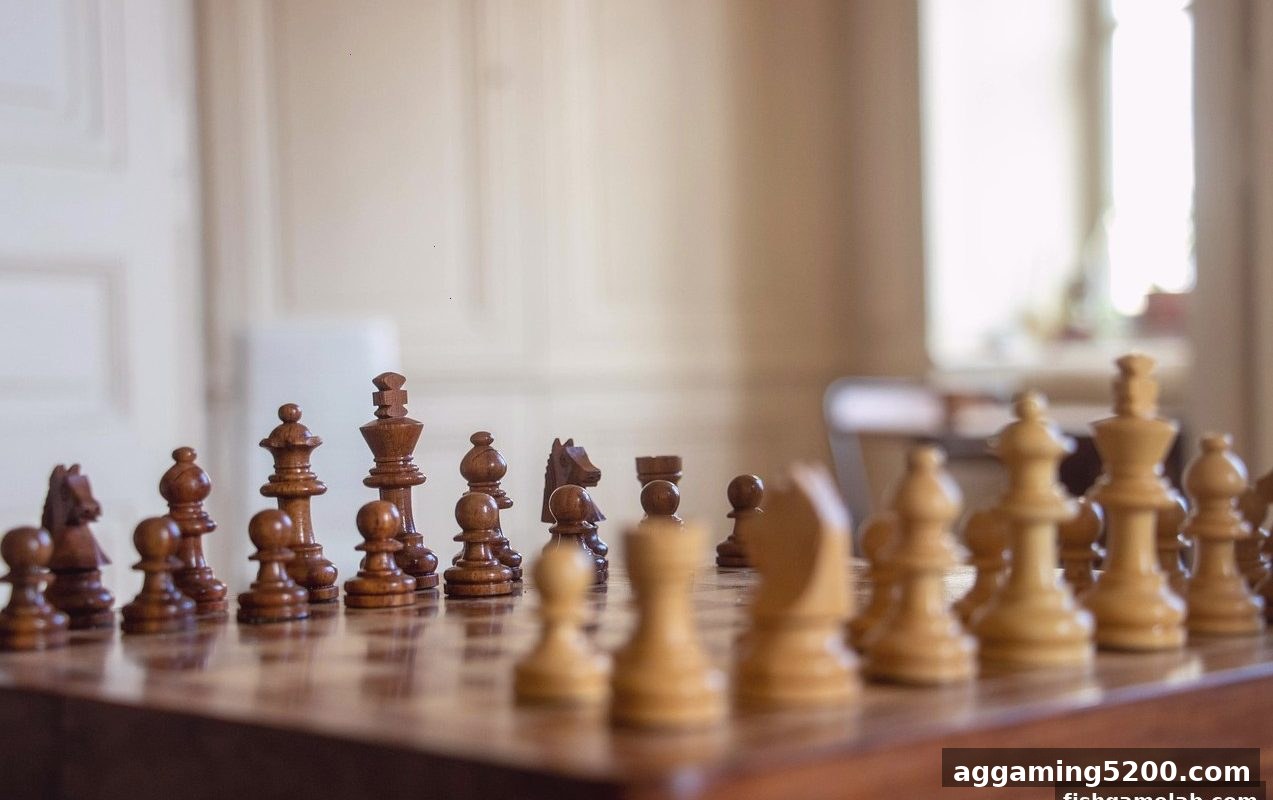 像捕鱼王游戏一样有趣：围棋职业棋手的启蒙与成长之路